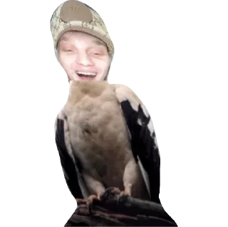 Sticker бабіджони™2 - 9