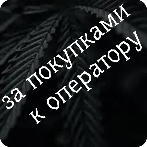 Sticker dba7ad67_a13c_4187_8280_93e804fa32af_by_sticat_bot - 1