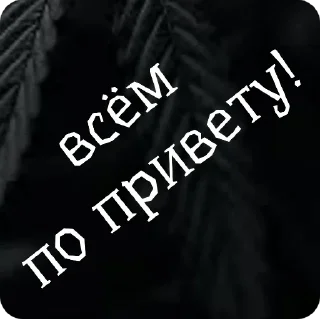 Sticker стиф - 7