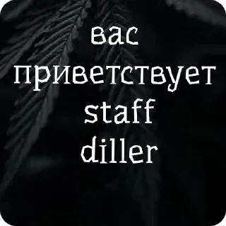 Sticker стиф - 1