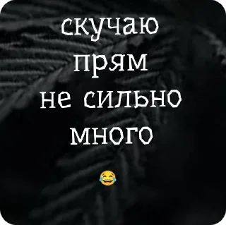 Sticker стиф - 6