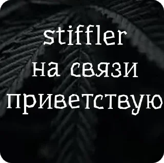 Sticker стиф - 3