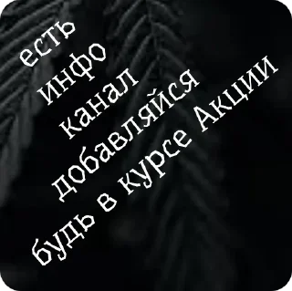 Sticker стиф - 11