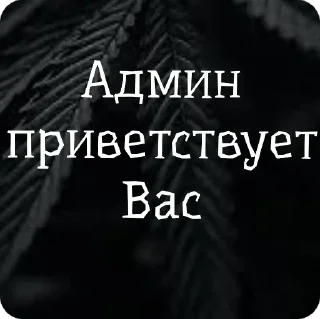 Sticker стиф - 5