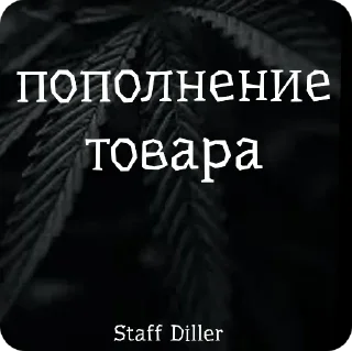 Sticker стиф - 2