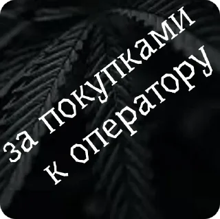 Sticker стиф - 8