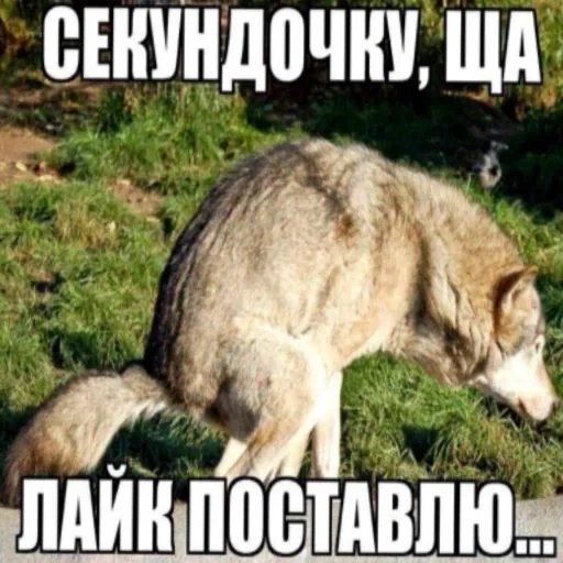 Sticker dbc7ad8f_33bb_4215_b20c_49dbf8ef2063_by_sticat_bot - 1