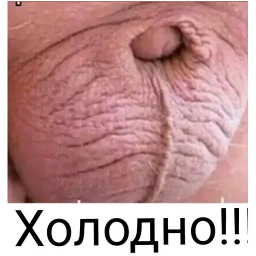 Sticker dbc7ad8f_33bb_4215_b20c_49dbf8ef2063_by_sticat_bot - 1