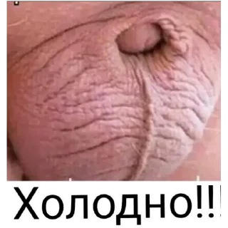 Sticker новые - 5