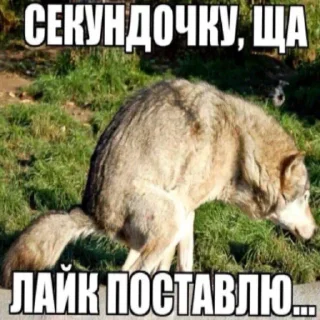 Sticker новые - 9