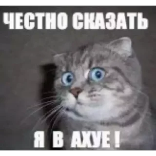 Sticker новые - 4