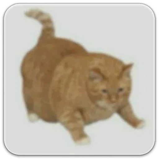 Стикер @dilonshy - 3