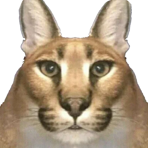 Sticker dduFokh_by_achestickbot - 1