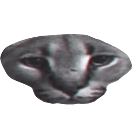 Sticker dduFokh_by_achestickbot - 1