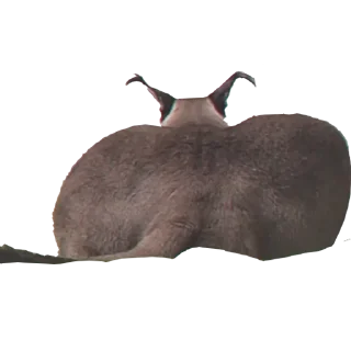 Стикер Больше стиков тут: @stikery4 - 11