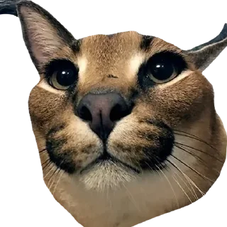 Стикер Больше стиков тут: @stikery4 - 9