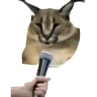 Стикер Больше стиков тут: @stikery4 - 7