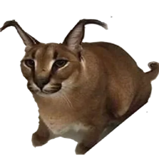 Стикер Больше стиков тут: @stikery4 - 0