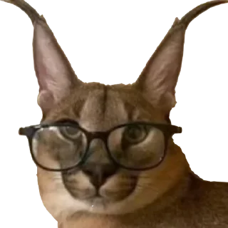 Стикер Больше стиков тут: @stikery4 - 5