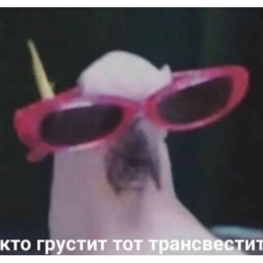 аксессуар защитные очки очки