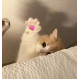 Sticker і вам апчіхуй - 5