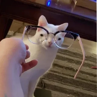 Sticker і вам апчіхуй - 10