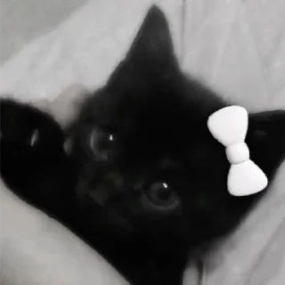 Sticker і вам апчіхуй - 2