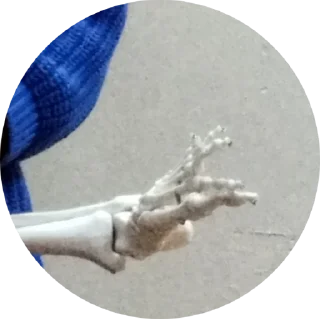 Стикер лютый 8в - 6