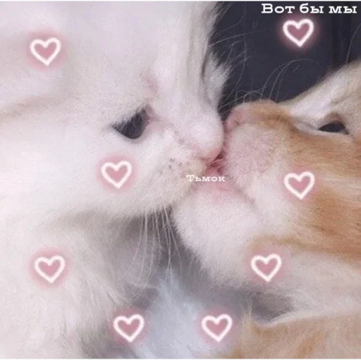 Стикер я гей - 3