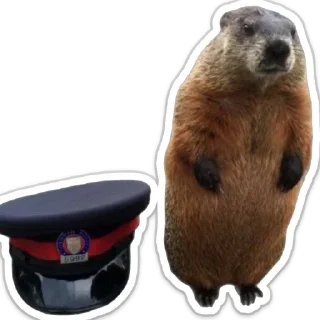 Стикер бобровая суета - 6