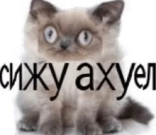 Sticker 1000-7 dead inside - 6