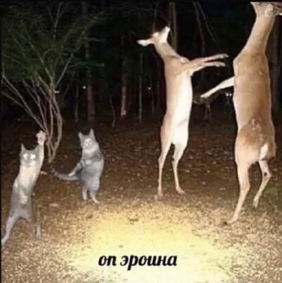 Sticker 1000-7 dead inside - 4