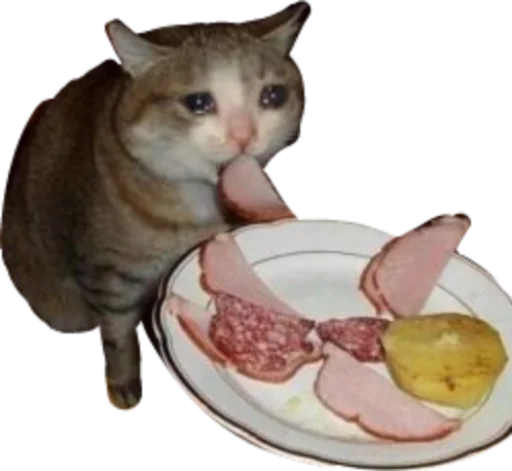 Стикер deadinside1007 - 1