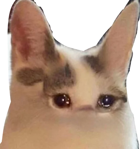 Sticker deadinside1007 - 1