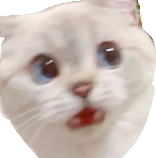 Sticker deadinside1007 - 1