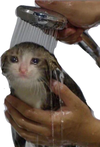 Sticker deadinside1007 - 1