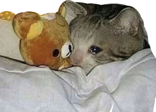 Sticker deadinside1007 - 1