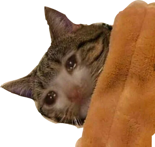 Стикер deadinside1007 - 1