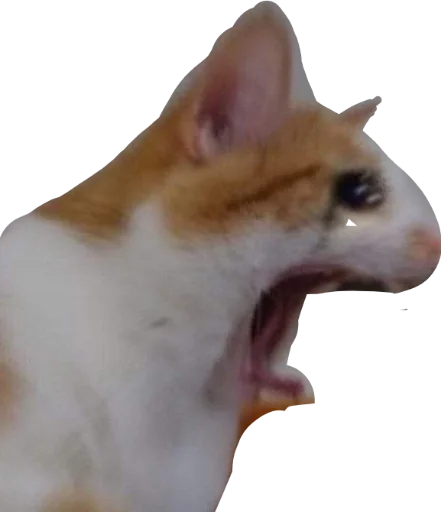 Стикер deadinside1007 - 1