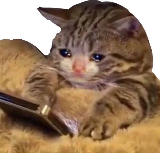 Стикер deadinside1007 - 1