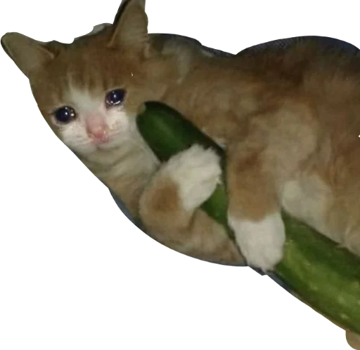 Sticker deadinside1007 - 1