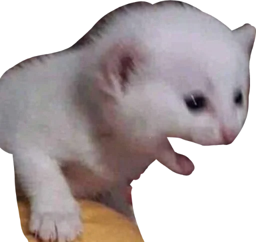 Sticker deadinside1007 - 1