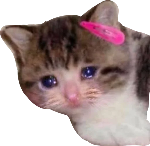 Sticker deadinside1007 - 1