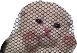 Sticker алло - 6