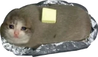 Sticker алло - 5