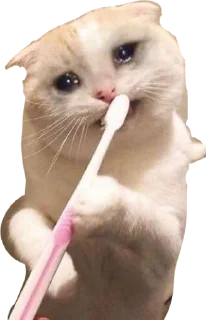 Sticker алло - 8