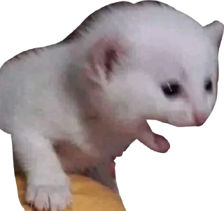 Sticker алло - 4