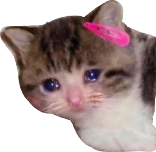 Sticker алло - 1