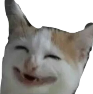 Sticker алло - 3