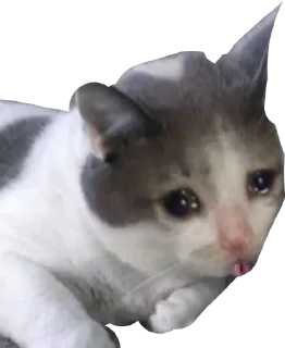 Sticker алло - 0